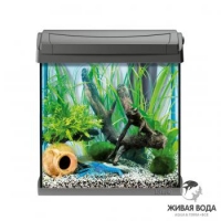 AquaArt 20л - обновленный аквариум! - аквариум + светильник T5 + фильтр + корм + средство для воды
