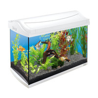 AquaArt 60л - обновленный аквариум! - аквариум + светильник + фильтр + нагреватель + корм + средства для воды