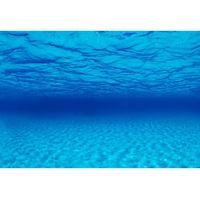 Фон Barbus морская лагуна высота 50-60 см