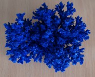 Крашенный коралл синий