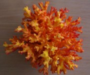 Крашенный коралл микс 7,5-10см