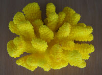 Крашенный коралл желтый 7,5-10см